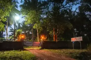 Campfire